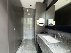 Skysuites@Anson (D2), Apartment #545301561